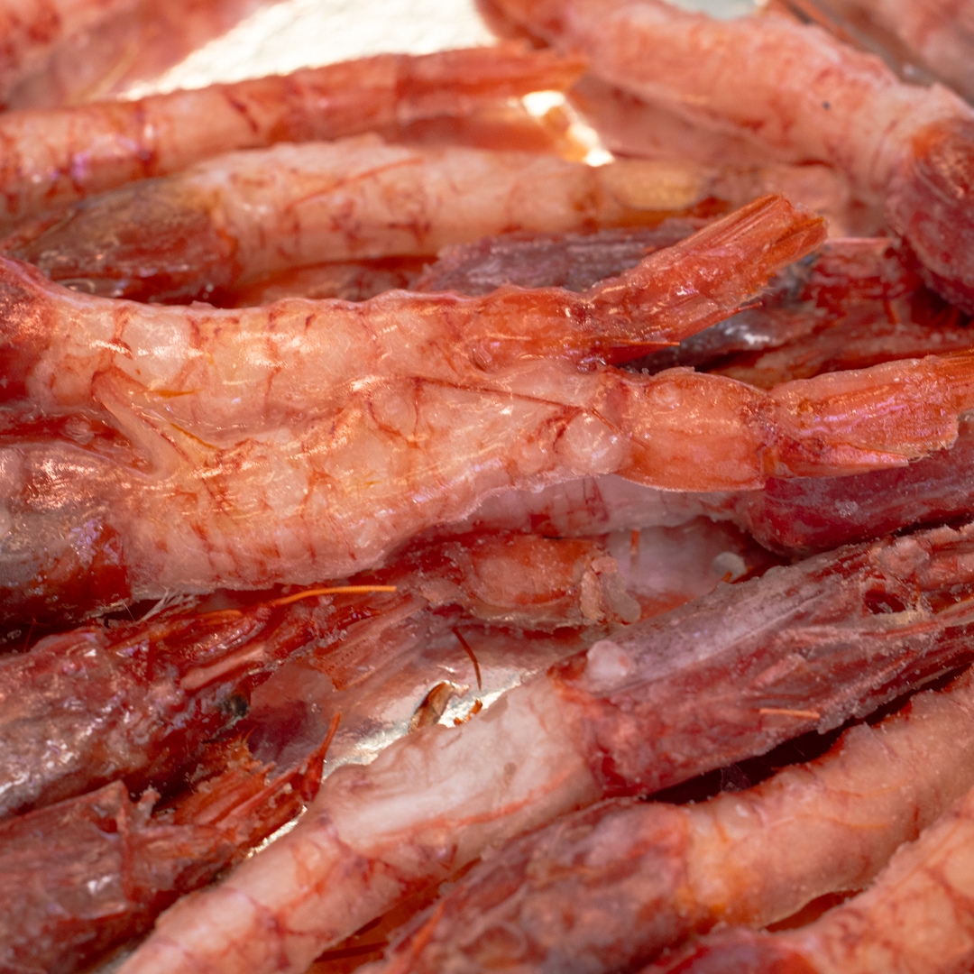GAMBERO ROSSO CRUDITÈ